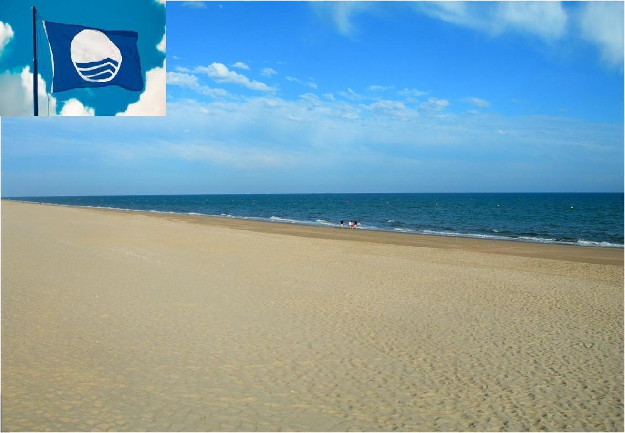 Apartamento Cerca Del Mar Oliva Exteriör bild